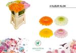 Vollsortiment - Gerbera mini gefüllt Orange, 1 Stiel